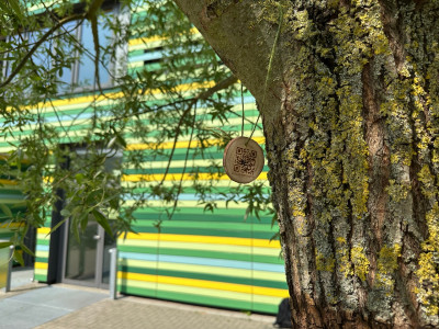 QR-Code auf einer Holzscheibe haengt an einem Baum und fuehrt zur Webseite des Projektes Atlas der Baeume