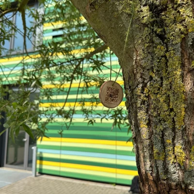 QR-Code auf einer Holzscheibe haengt an einem Baum und fuehrt zur Webseite des Projektes Atlas der Baeume