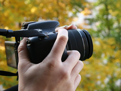 Fotografieren mit Fotoapparat von Herbstlaub